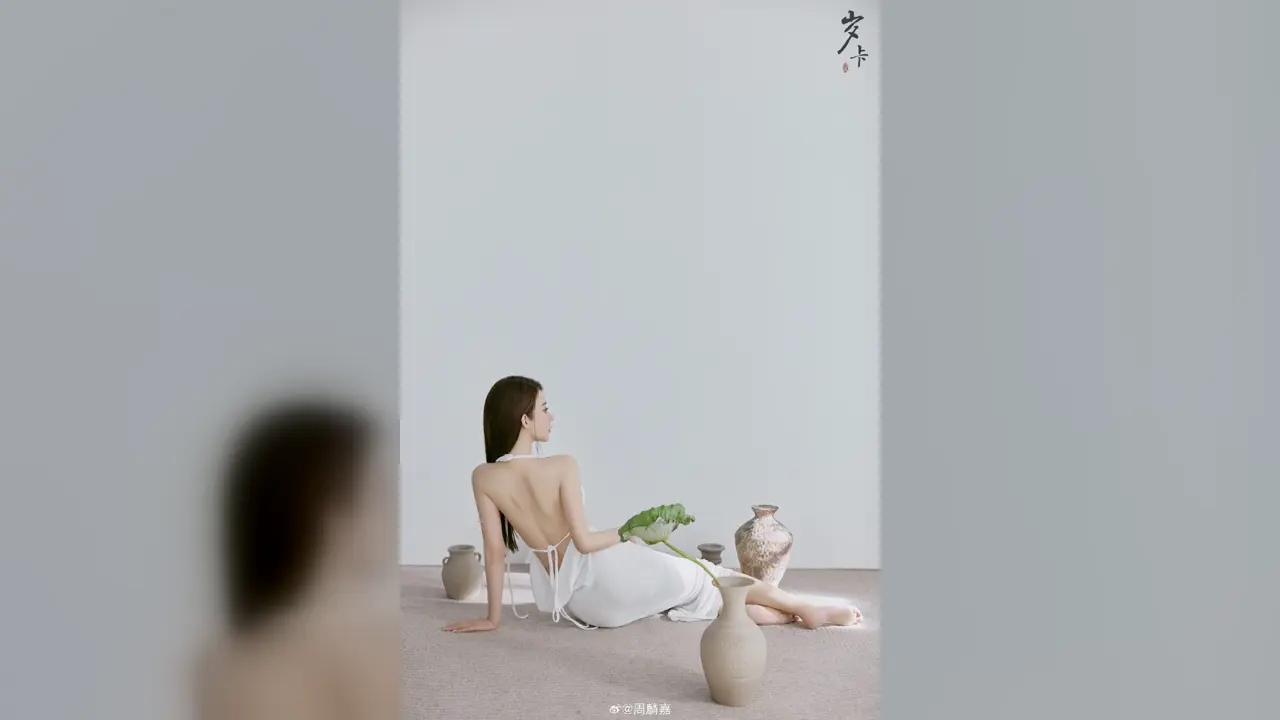 每日精选最新入口-网红跨平台合辑